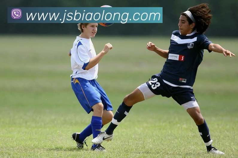 数据防护可视化